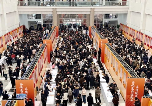 劳务协作 2026年山东省春风行动与沿黄九省区共筑就业新未来